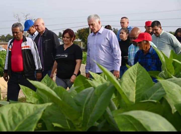 YamileRamosCord's tweet photo. Junto al pueblo,  caminando con el pueblo,  explicando,  escuchando,  así va por #Cuba @DiazCanelB Hoy en #SanLuis #PinardelRío junto a @DrRobertoMOjeda #EstaEsLaRevolución https://t.co/6g27o2RgiM