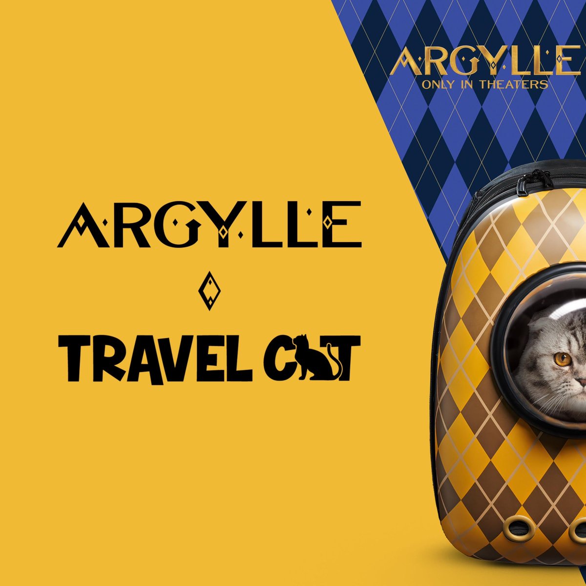 Travel Cat 🐈🎒 Your Cat Backpack | #AdventureCats tweet media