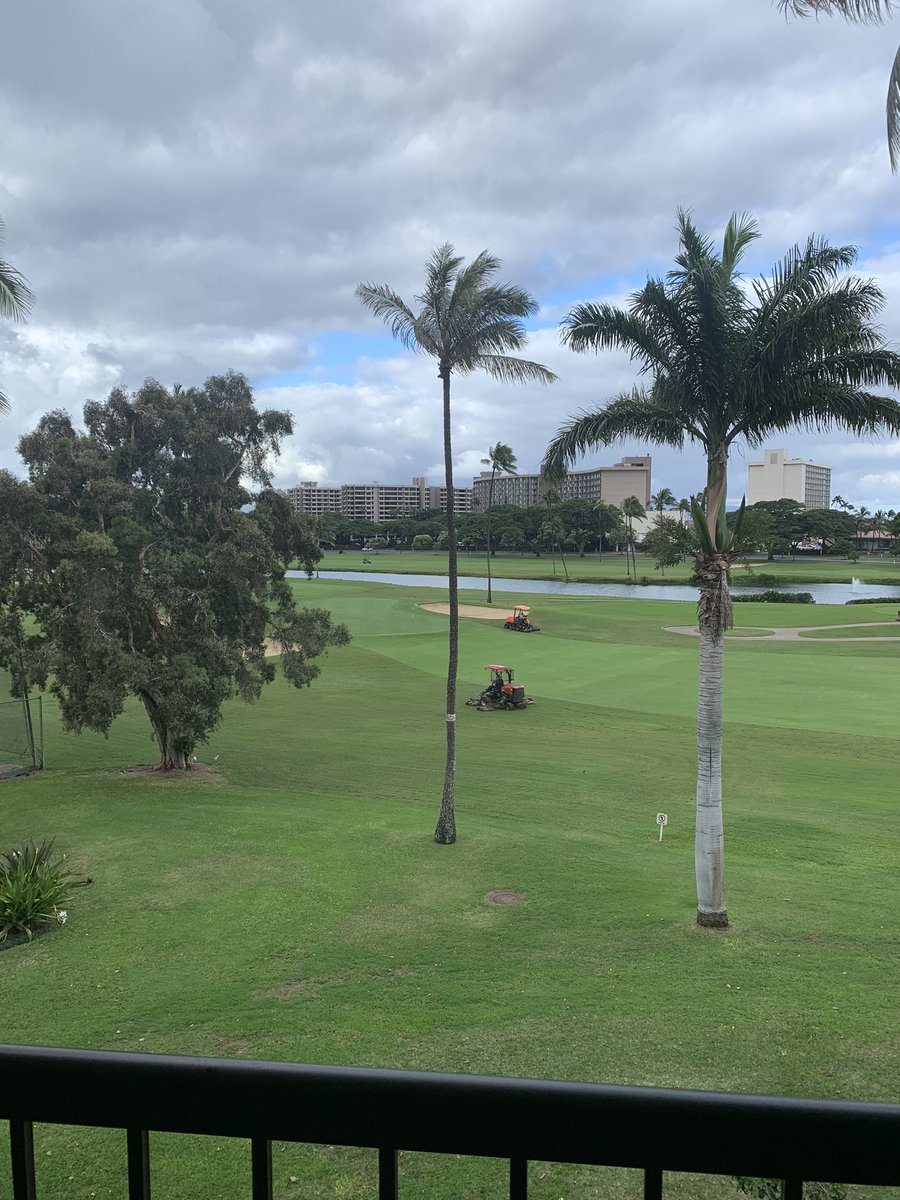 Inside Golf Media tweet media