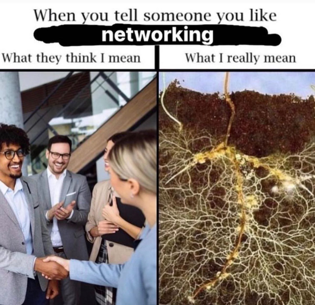 Inhabit (@readinhabit) on Twitter photo 