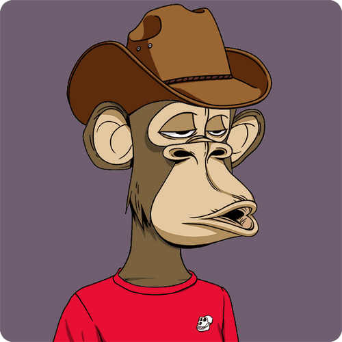 NFT Monitor 👁️ tweet media