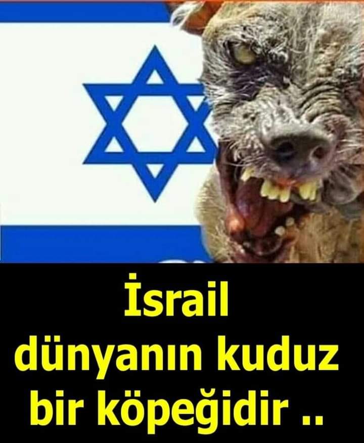 #GazaStarving İşgalci terör örgütü Lanetli kavim itrail Yok olacaksın