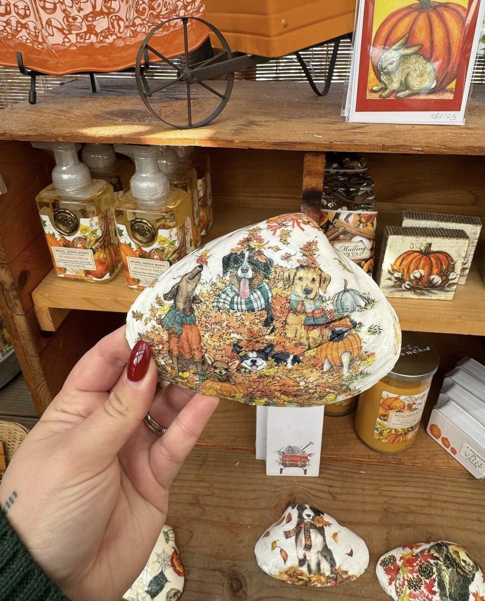 I'll cash app 30 people $3000 to $5000 that can spell a girl name start with T and end with A Reply with answer and your cash app tag
                           ASAP!