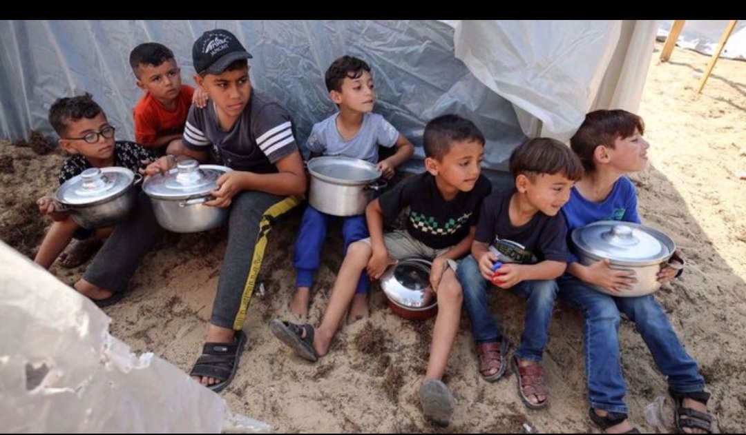 AyeglDemirhan18's tweet photo. @RFI They are hungry.#Gazastar https://t.co/nkvMi1t0Yw
