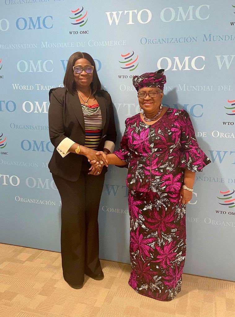 NOIweala's tweet image. Welcoming Hon Dr Abike Dabiri-Erewa, CEO of the Nigerians In Diaspora Commission @nidcom_gov to the @WTO. Thanks for the work you are doing on the Nigerian diaspora. This is an important resource.