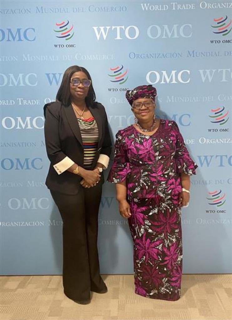 NOIweala's tweet image. Welcoming Hon Dr Abike Dabiri-Erewa, CEO of the Nigerians In Diaspora Commission @nidcom_gov to the @WTO. Thanks for the work you are doing on the Nigerian diaspora. This is an important resource.