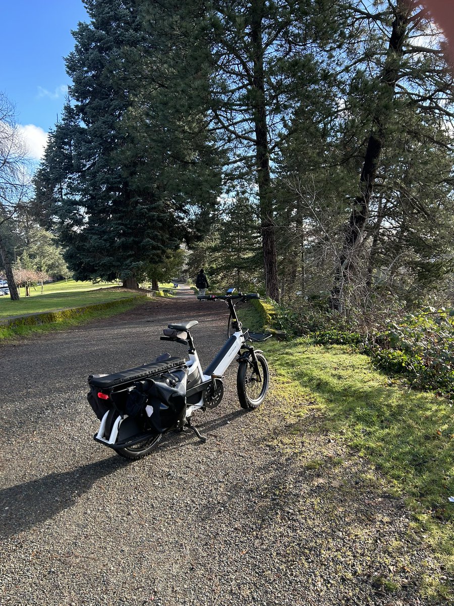 dandelion_bikes's tweet photo. @GordonOfSeattle Dropped off my kiddo and headed to work without a jacket. Feels amazing. https://t.co/GSror13glY