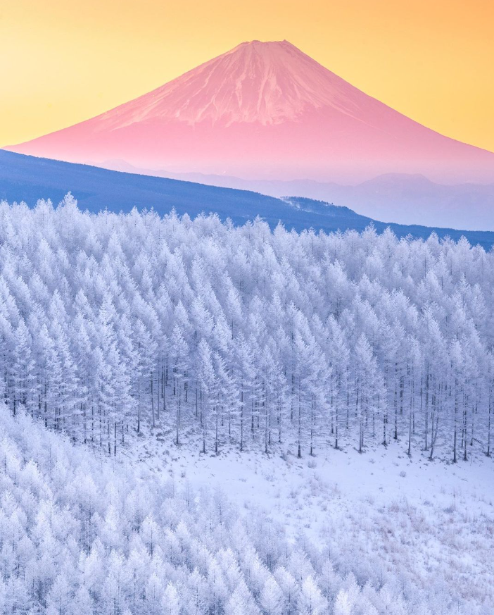 FedeItaliano76's tweet photo. Mt. Fuji as photographed by tomohase_ https://t.co/MHO1kP1IT2