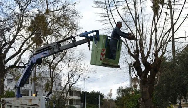 ParaponaRodou's tweet photo. Παράπονα Ρόδου: Διακοπή κυκλοφορίας για κοπή δέντρων https://t.co/ERVifJLUp5 https://t.co/D0XSQFwh2h