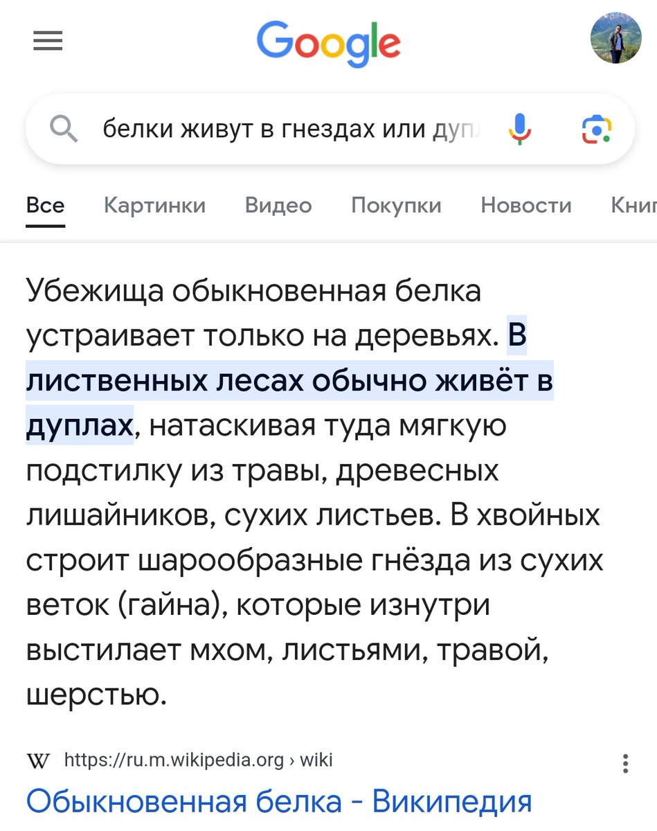 ozod1608's tweet photo. @Sharfik_ Я сам видел в Ташкенте белку, живущую в гнезде :) https://t.co/CRHrtY9T1Y