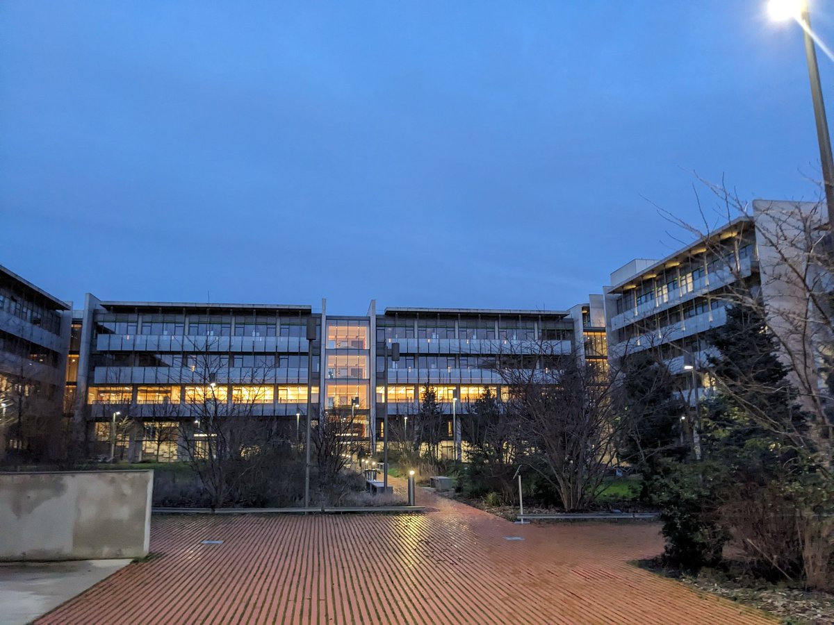 Lydia Sosa Vargas tweet media