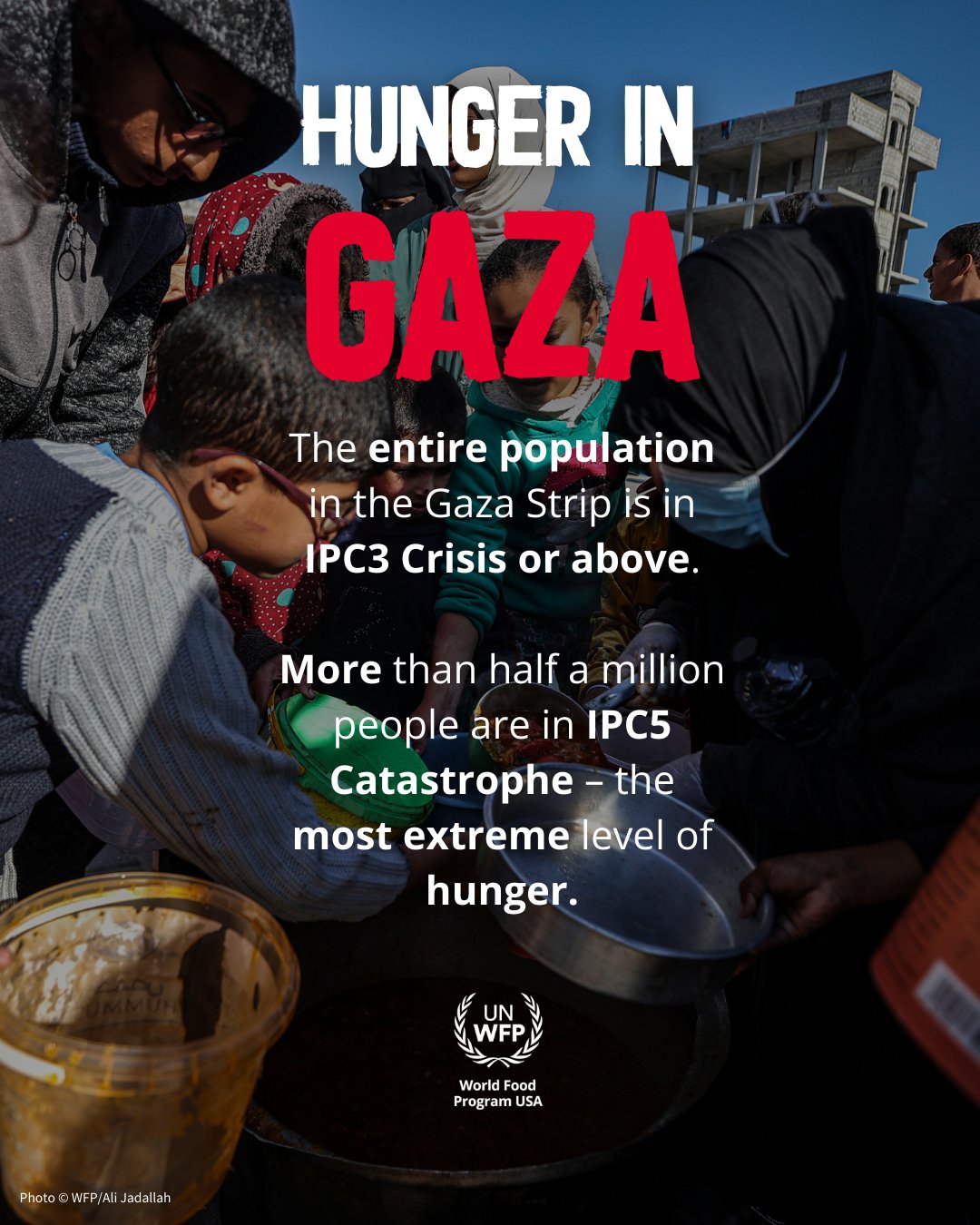 World Food Program USA on X: "🚨People in Gaza are starving. The entire  population is in crisis or worse levels of acute food insecurity meaning  they are only marginally able to meet