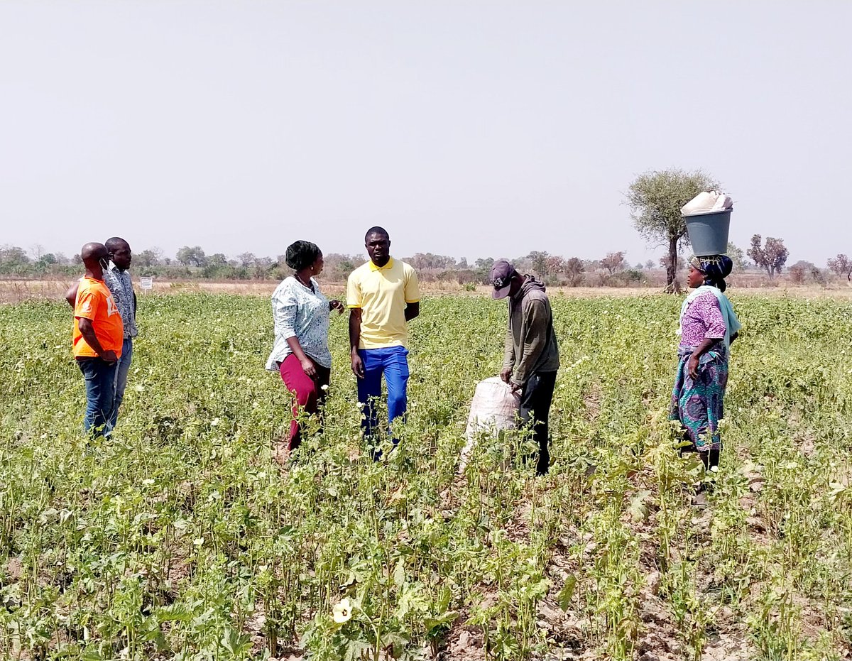 SWIDA Ghana (@ghswida) on Twitter photo Land and water for all season farming. This is being promoted for women in the North of Ghana.
<a href="/awdf01/">African Women's Development Fund</a> <a href="/GlobalFundWomen/">Global Fund for Women</a> <a href="/FAOKnowledge/">FAO Knowledge</a> <a href="/NETRIGHT/">Network for Women's Rights in Ghana (NETRIGHT)</a> Land and water for all season farming. This is being promoted for women in the North of Ghana.
<a href="/awdf01/">African Women's Development Fund</a> <a href="/GlobalFundWomen/">Global Fund for Women</a> <a href="/FAOKnowledge/">FAO Knowledge</a> <a href="/NETRIGHT/">Network for Women's Rights in Ghana (NETRIGHT)</a>