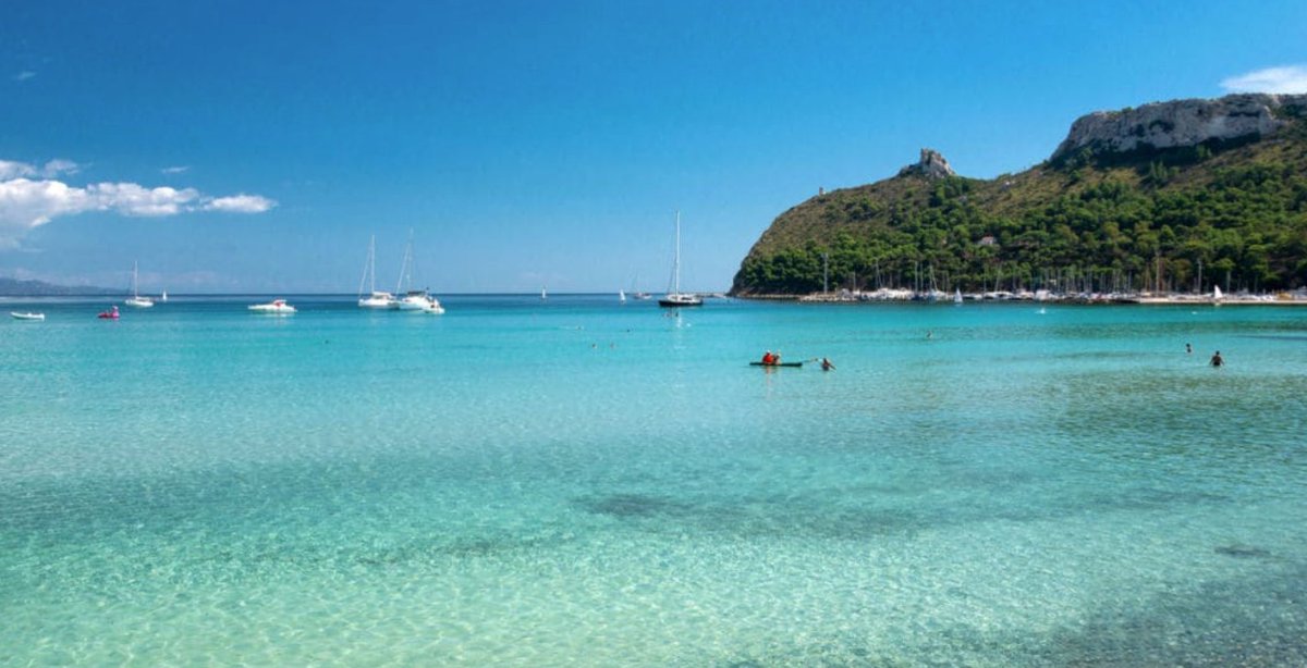 AndreaPorcheddu tweet media