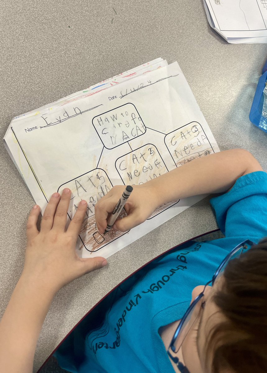 TiffLayne's tweet photo. Working on the writing informational books! Collaboratively, we are following the writing process by planning, drafting, revising, and sharing! @CLCEThunderbird #kindergarten #allaboutcats https://t.co/OrkW8ooaNL
