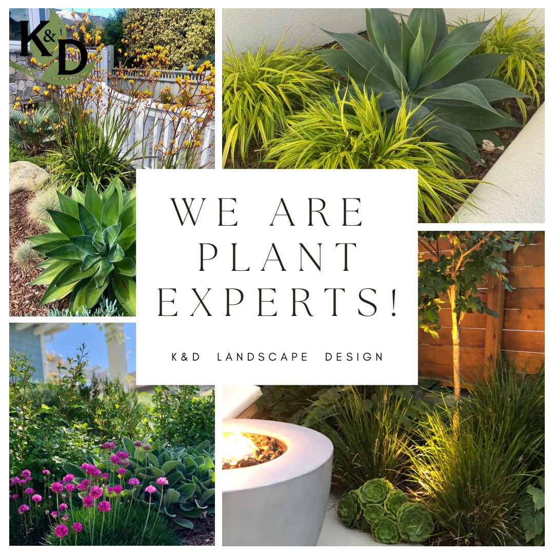 K&D Landscaping, Inc. tweet media