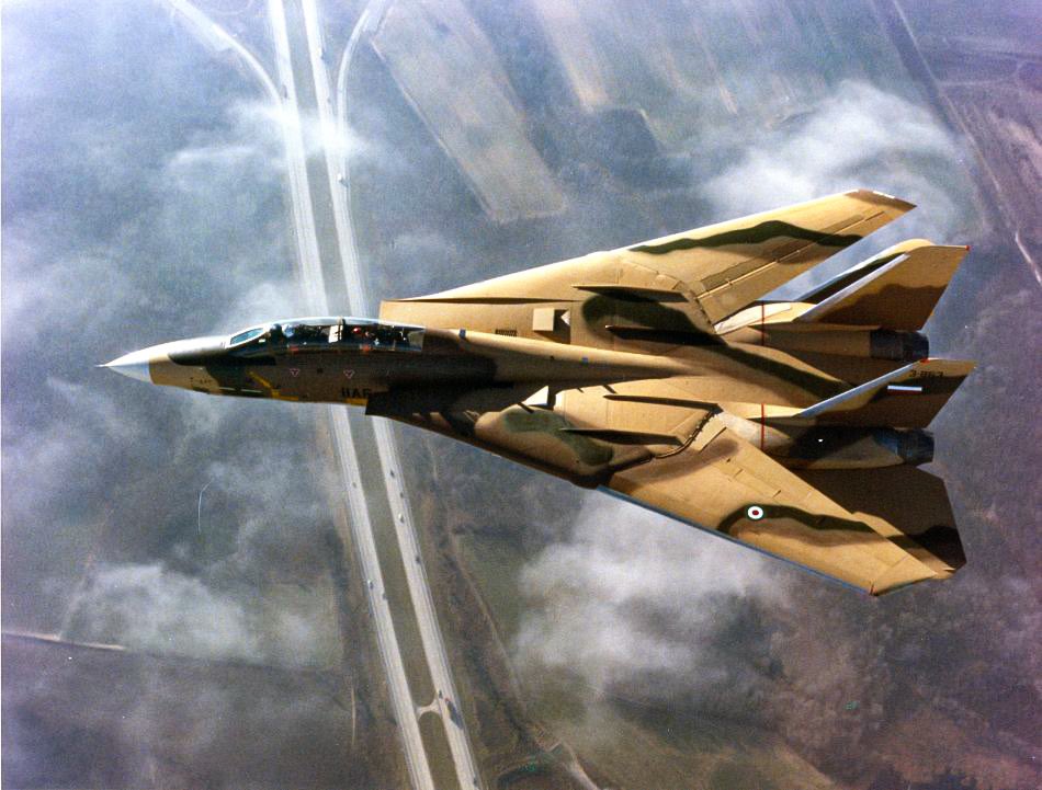 Iranian (IIAF) F-14A Tomcat. (Roger Belstein Coll)