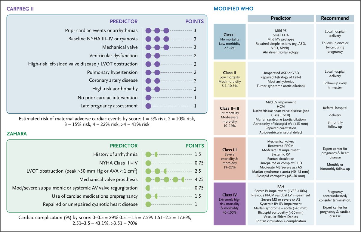 ZHeart11768530's tweet photo. Maternal Cardiovascular Health Post-Dobbs #2024Review @NEJMEvidence #openaccess
https://t.co/G3ptvadkxj
#CardioEd #CardioTwitter #cardiology #CardioObs #meded https://t.co/evy3YFfk2o