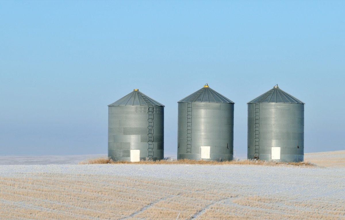 Storing #soybeans this winter? Here's a hot tip for the not-so-hot season: Aerate about every two weeks when air temperature is within -12°C of grain temperature. Store soybeans during the winter near -1°C. More on storing soybeans: bit.ly/3sHMYP2