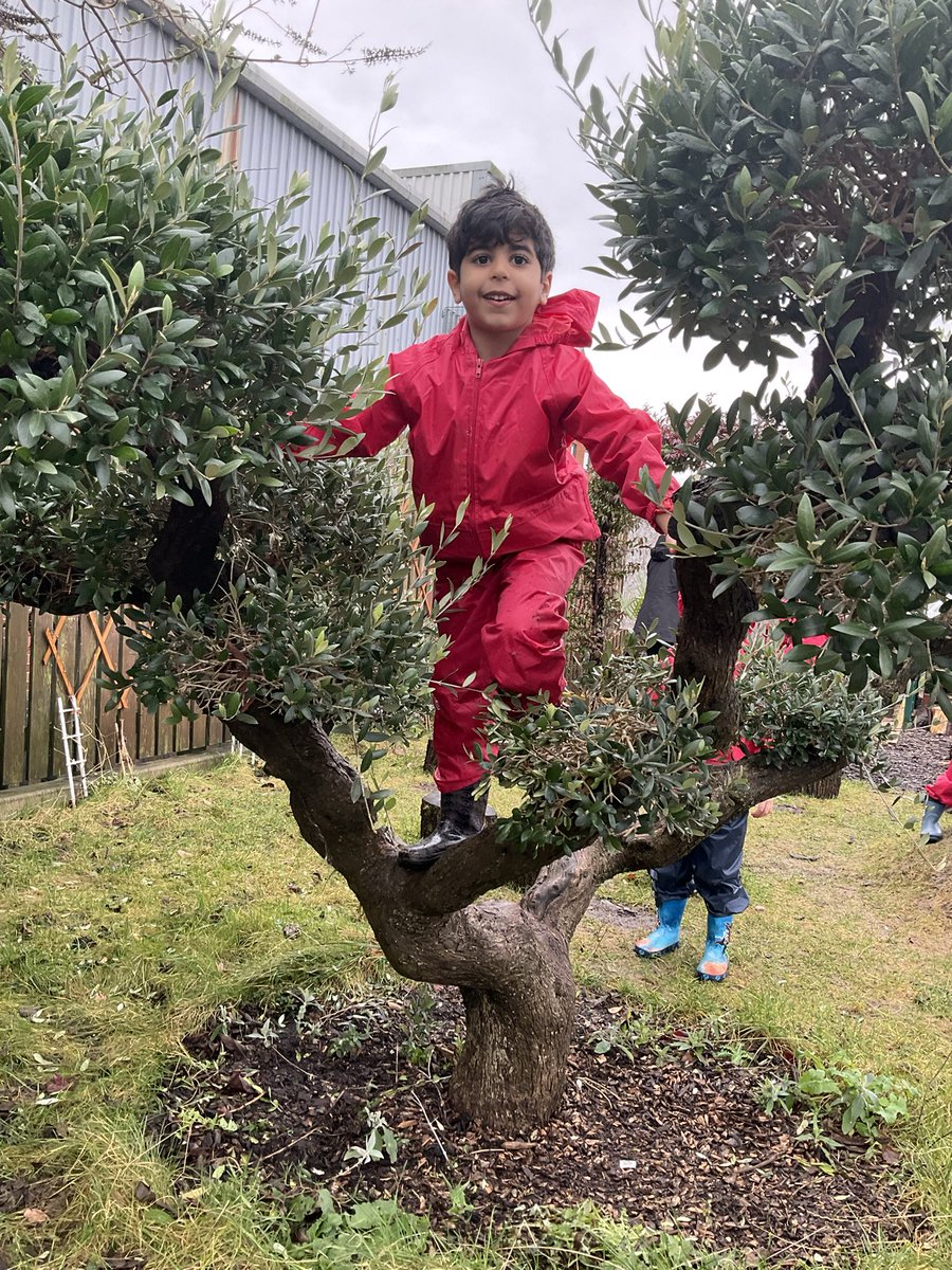 Foundation Stage at Phoenix Primary School tweet media