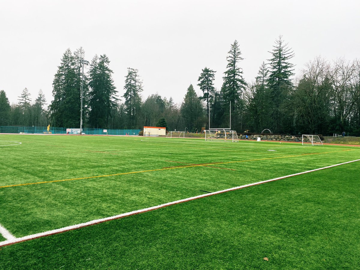 CNV Fields tweet media