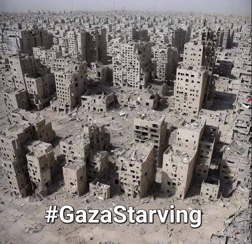 zarifyayinlari's tweet photo. #GazaStarving https://t.co/HDqycq3p1I