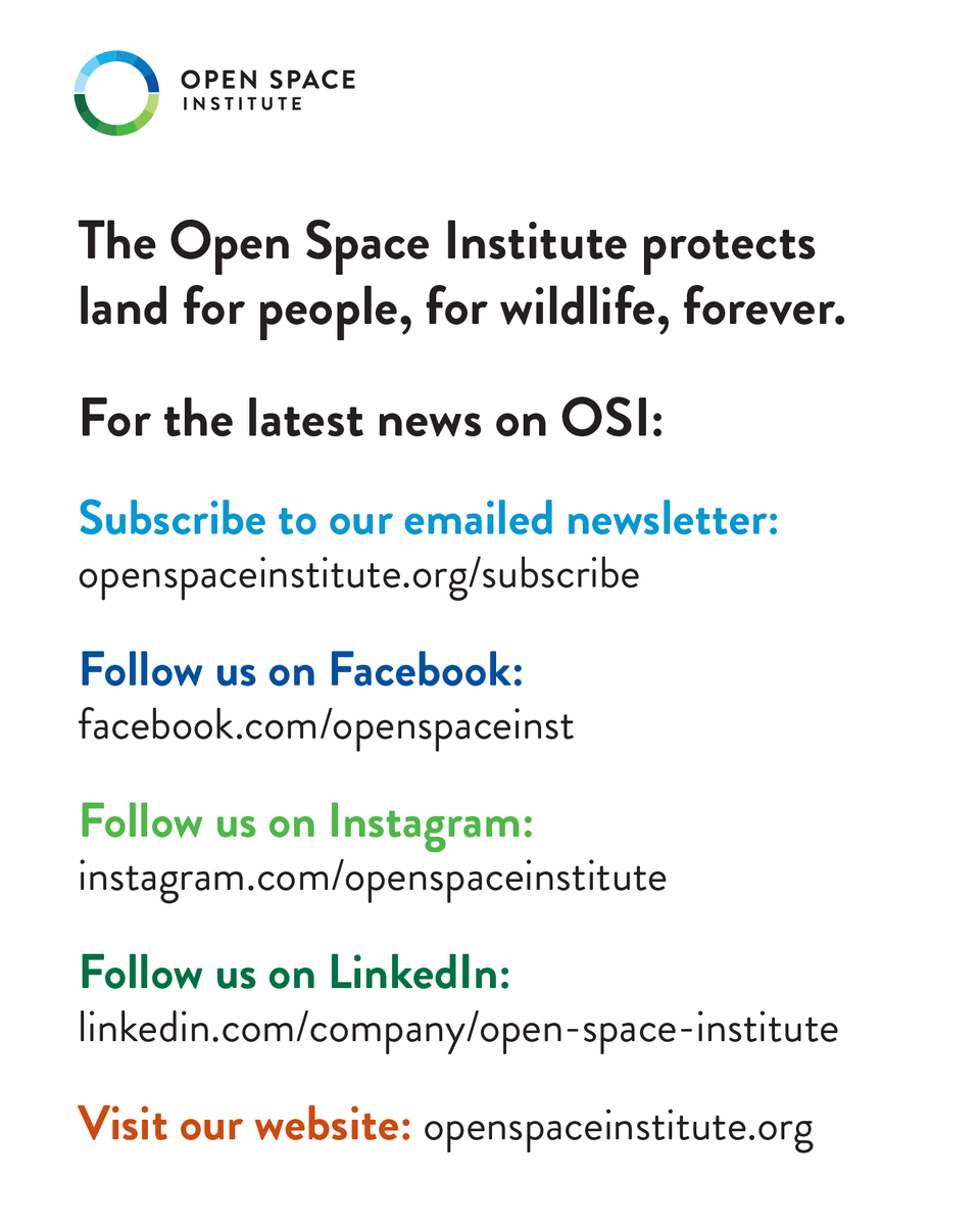 Open Space Institute tweet media
