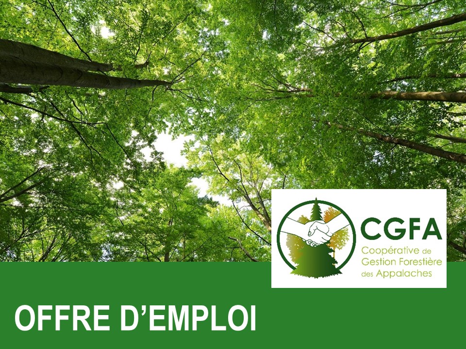 #emploi #coop | La Coopérative de gestion forestière des Appalaches recherche des candidatures pour un poste de #technologue #forestier. Pour postuler : fqcf.coop/carriereenfore…