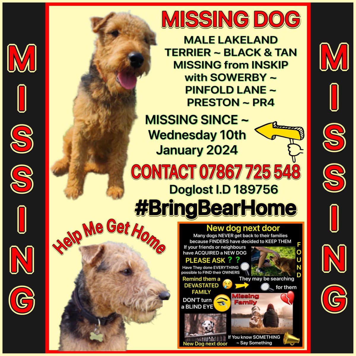Please join us to help #BringBearHome Black & Tan Lakeland Terrier BEAR went #missing 10 January 2024 in Inskip #Preston Pinfold Lane/ Moss lane #PR4 He has a docked tail, chipped & details are all up to date
@KarenFi51820768 @rosiedoc666 @MissingPetsGB @AlanDaffern @BethRees2