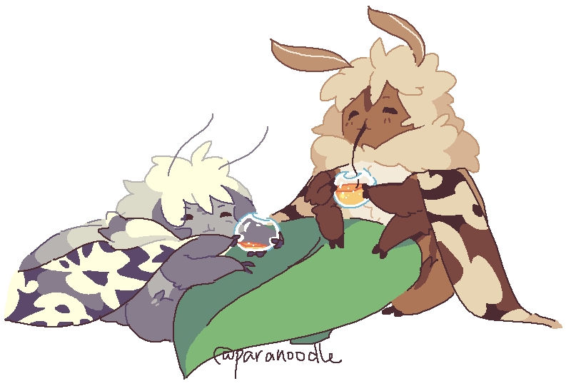 moth hangout