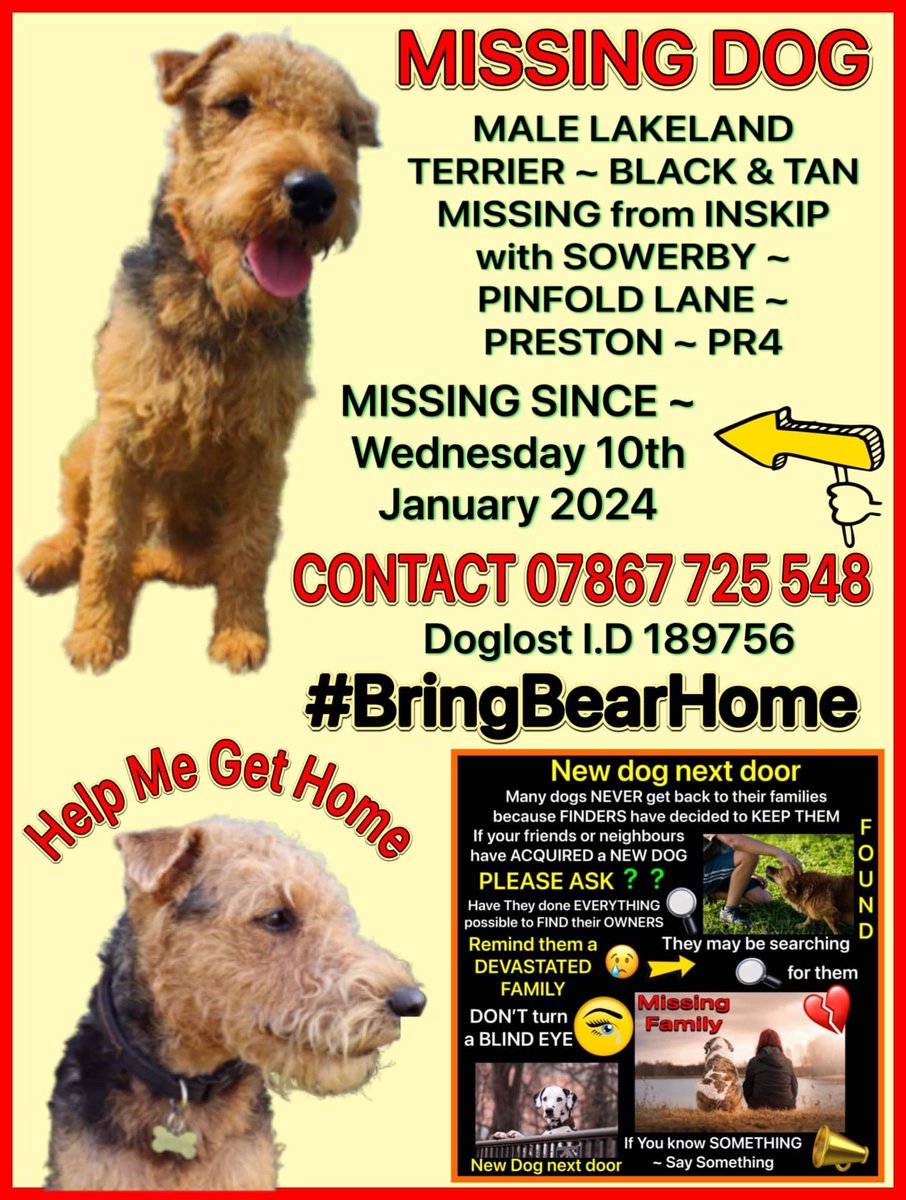 #BringBearHome praying he is safe and sheltered in #StormJocelyn
let's get him home to <a href="/LostBearBamber/">Catherine Bamber</a> #BringBearHome pls RT use #BringBearHome