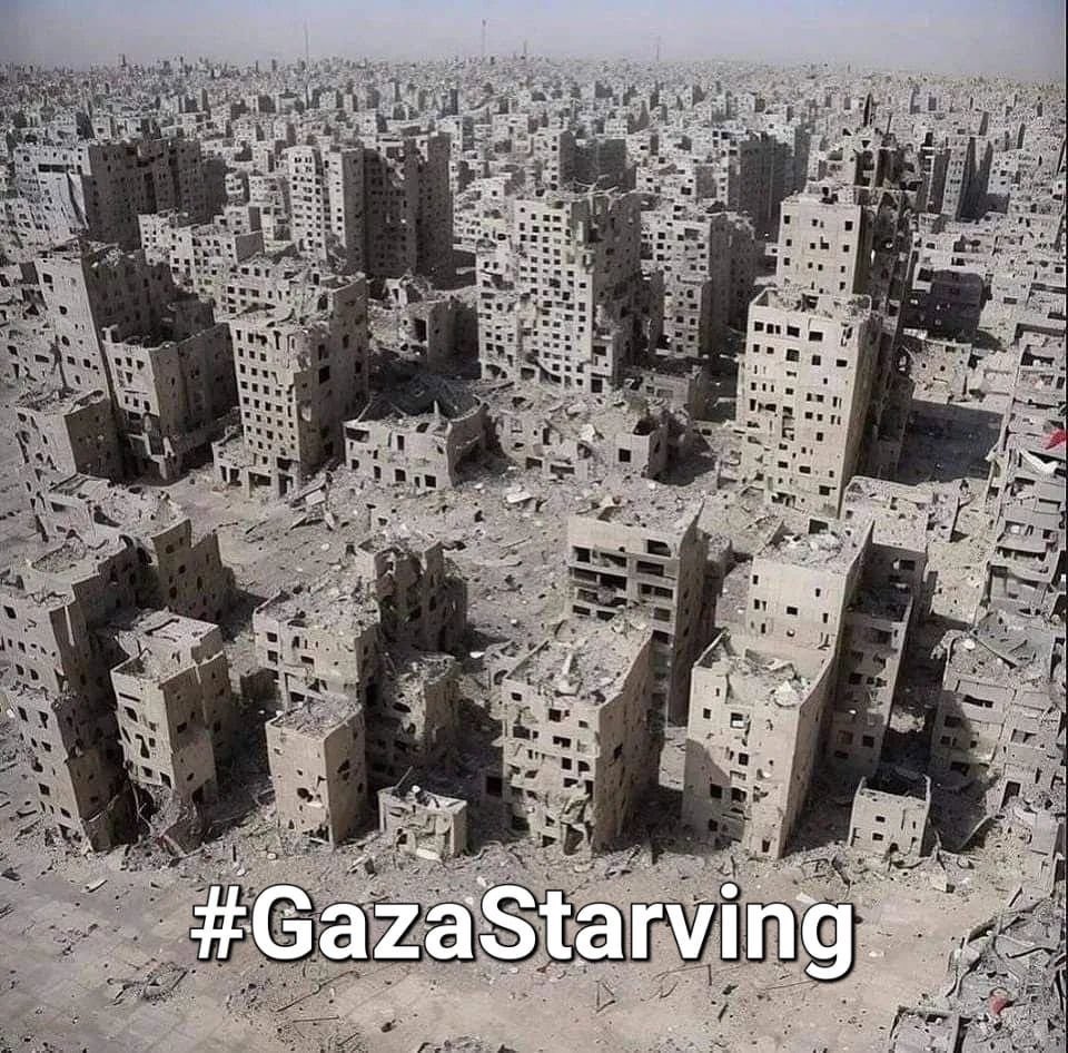 #GazaStarving