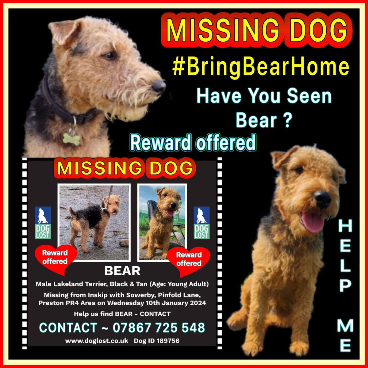 #BringBearHome praying he is safe and sheltered in #StormJocelyn
let's get him home to <a href="/LostBearBamber/">Catherine Bamber</a> use the # #BringBearHome