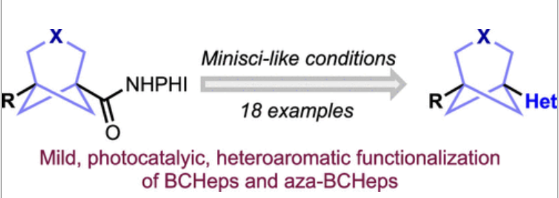 Many congratulations to Rebecca Revie for her first paper from the group 🎉🥳– assisted by Bhaskar, Ben and Russell <a href="/abbvie/">AbbVie</a> – our latest work on BCHep functionalization, out in <a href="/JOC_OL/">J Org Chem/Org Lett</a>: pubs.acs.org/doi/10.1021/ac…
