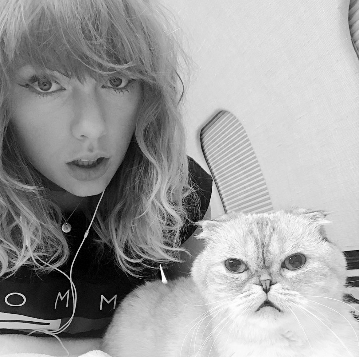 TSTheErasTour's tweet photo. Happy Birthday to one and only Olivia ! 🐈‍⬛ https://t.co/0Ls9E3KO3e