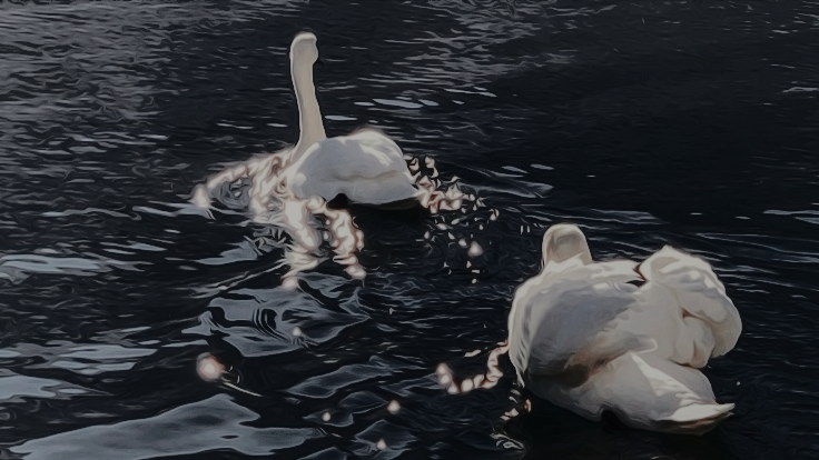 𝐒𝐜𝐨𝐫𝐩𝐢𝐮𝐬 𝐏. 𝐌𝐚𝐥𝐟𝐨𝐲. (@lustasacurse) on Twitter photo 