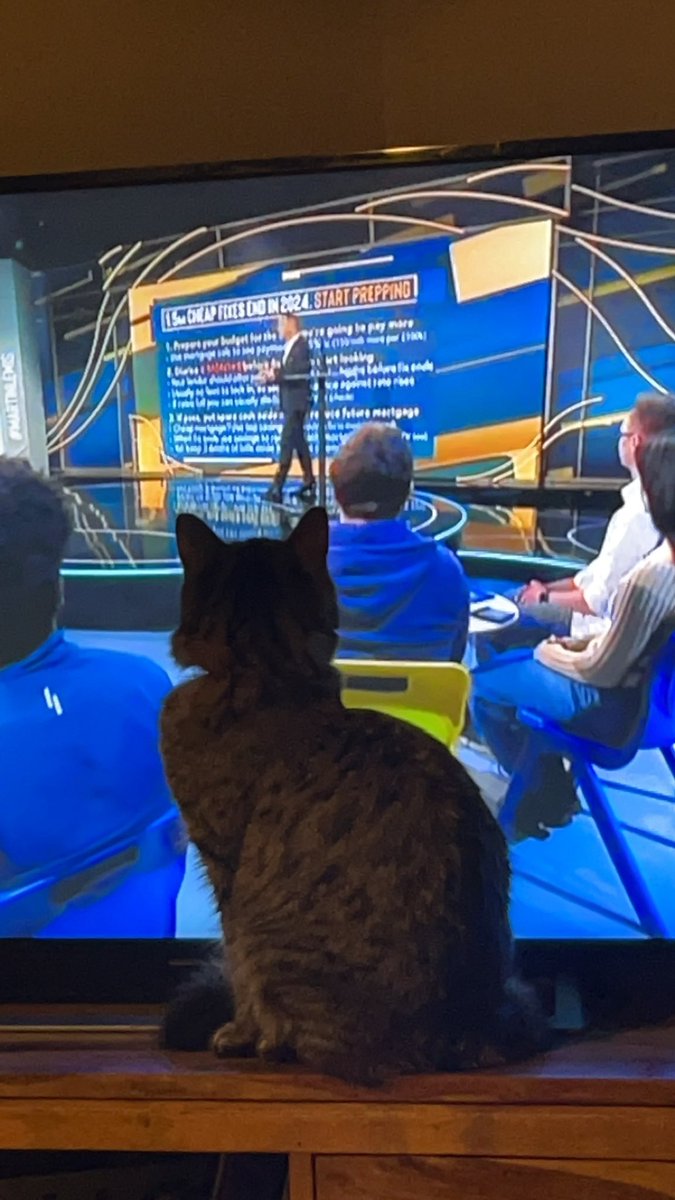 elle_fm7's tweet photo. Maple is loving the show! #MartinLewis https://t.co/TFtwdbos4M