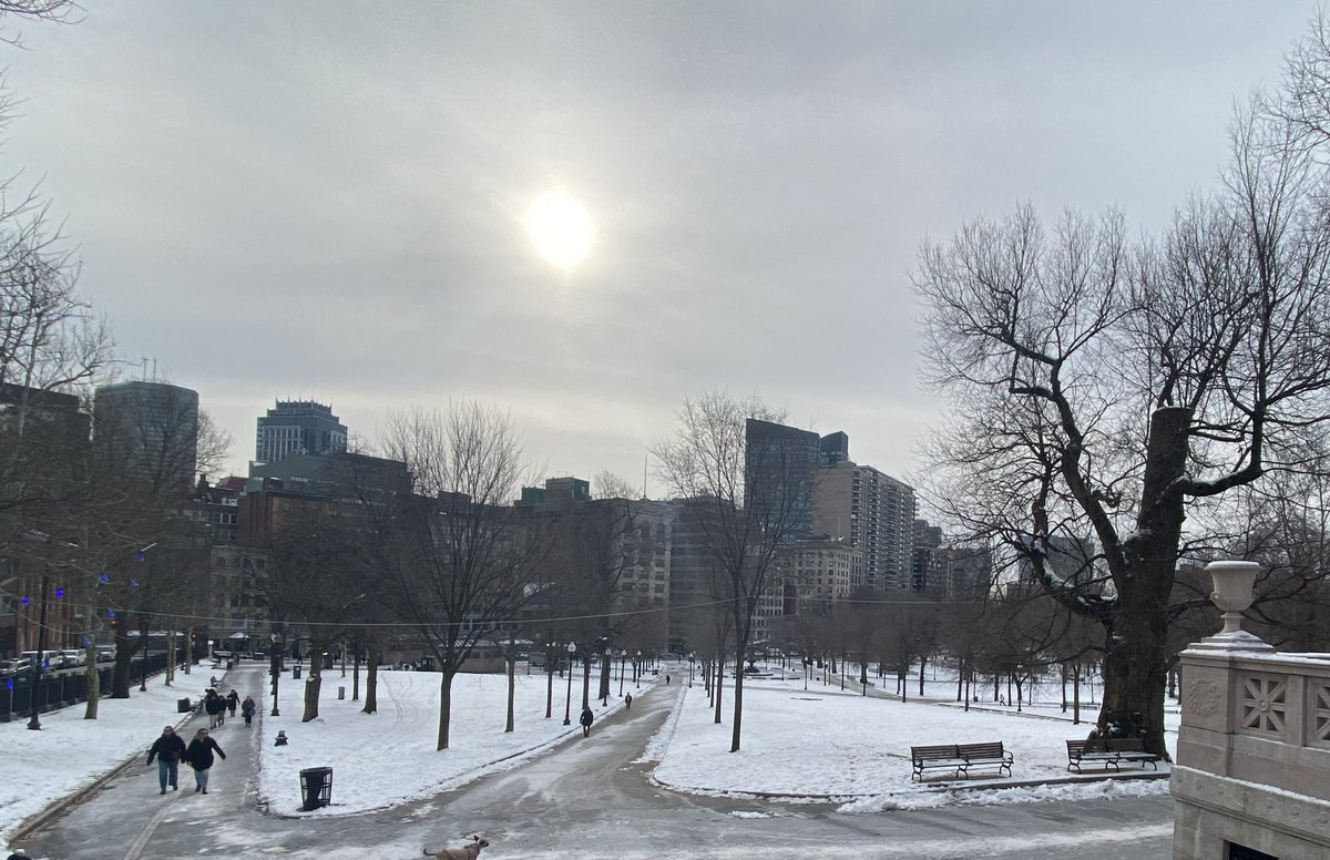 Boston Municipal Research Bureau tweet media