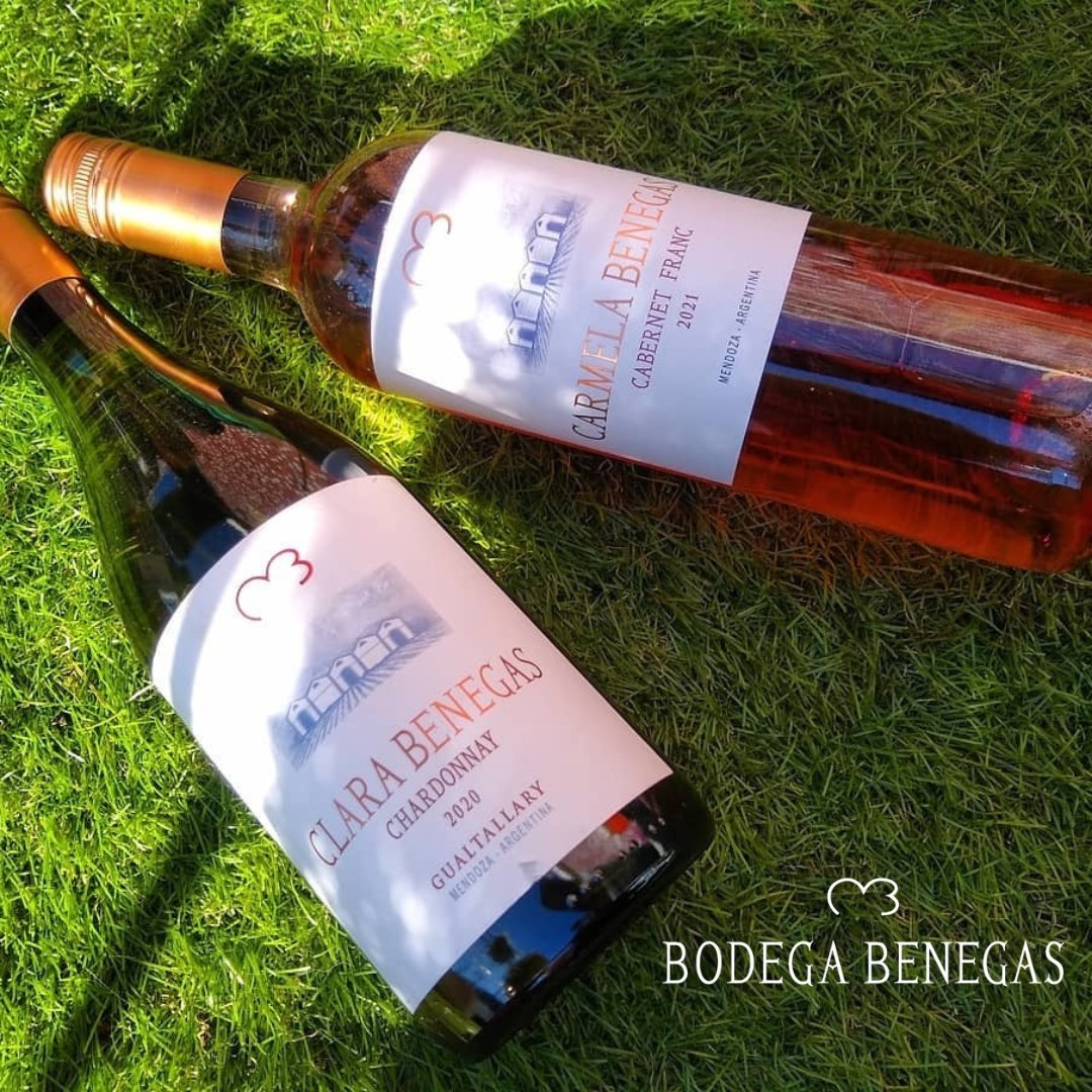 🍷Carmela Benegas y Clara Benegas son el "must" en vinos frescos y frutados.

¿Ya los probaste?

#BodegaBenegas #BenegasWines #Wines