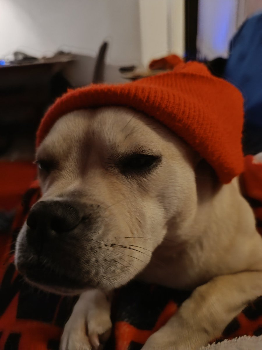 Punch.
Kick.
It's all in the mind.