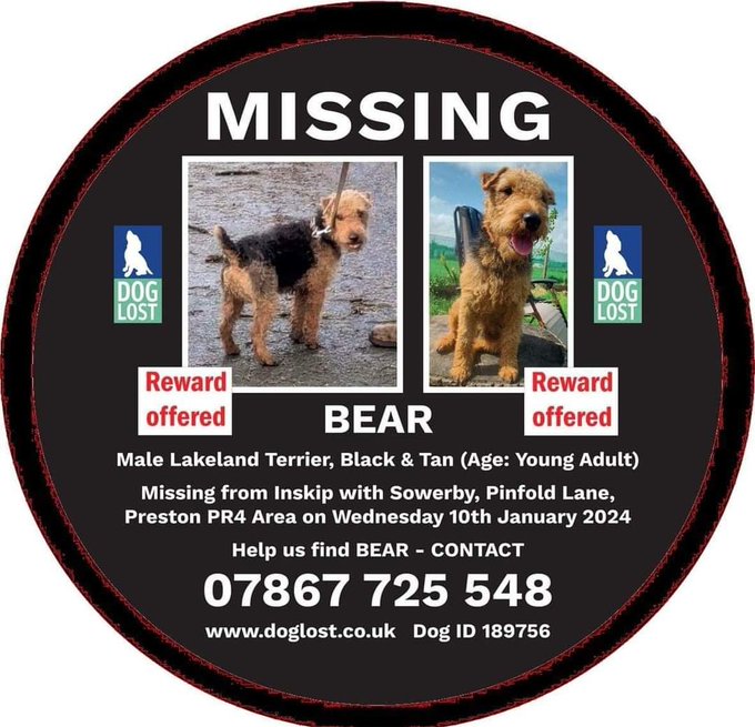 Please retweet this & get it moving around twitter as far as possible The weather is so wild at the moment, if Bear is out there on his own can you imagine how he must be feeling 😭 Your tweet could be the thing that reunites him with his family #BringBearHome