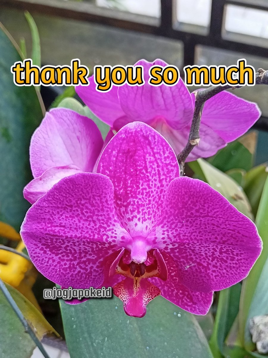 jogjapokeid (@jogjapokeid) on Twitter photo #TwFsClub
#F4F_Nusantara
thank you so much
โฉโฝ <a href="/TwFsClub/">Founder of โ๏ธ #TwFsClub</a>
<a href="/guerreravefenix/">JusnickZ๐ชฌ๐</a>
<a href="/drikinhapower/">Fodyanne</a>
<a href="/jogjapokeid/">jogjapokeid</a>
@TwFsKing
@funfun2u
<a href="/G0ku197424/">Goku</a>
<a href="/g1rsang/">Gwgirsang</a>
<a href="/ElyGonalvesdeO3/">Ely Gonรงalves de Oliveira</a>
<a href="/f_a_r_a_h_9/">๐
ตโถ๐โถ๐
ท ๐
ถโถ๐
ธโ๐ ๐ค๐ค</a>
@fazila__ch
<a href="/Gb_bish9e_1672/">G.B.Bishnoi</a>
<a href="/gdb_st/">Bidhog_St ๐ฎ๐ฉ</a>
<a href="/gebowid886/">ุตูุฑ</a>
<a href="/Gedibal7Likur/">Gedibal27</a>
<a href="/gelangbesi/">gelangbesi</a>
<a href="/Gendon2111/">Getuk</a>
<a href="/genduk93579505/">genduk</a> #TwFsClub
#F4F_Nusantara
thank you so much
โฉโฝ <a href="/TwFsClub/">Founder of โ๏ธ #TwFsClub</a>
<a href="/guerreravefenix/">JusnickZ๐ชฌ๐</a>
<a href="/drikinhapower/">Fodyanne</a>
<a href="/jogjapokeid/">jogjapokeid</a>
@TwFsKing
@funfun2u
<a href="/G0ku197424/">Goku</a>
<a href="/g1rsang/">Gwgirsang</a>
<a href="/ElyGonalvesdeO3/">Ely Gonรงalves de Oliveira</a>
<a href="/f_a_r_a_h_9/">๐
ตโถ๐โถ๐
ท ๐
ถโถ๐
ธโ๐ ๐ค๐ค</a>
@fazila__ch
<a href="/Gb_bish9e_1672/">G.B.Bishnoi</a>
<a href="/gdb_st/">Bidhog_St ๐ฎ๐ฉ</a>
<a href="/gebowid886/">ุตูุฑ</a>
<a href="/Gedibal7Likur/">Gedibal27</a>
<a href="/gelangbesi/">gelangbesi</a>
<a href="/Gendon2111/">Getuk</a>
<a href="/genduk93579505/">genduk</a>
