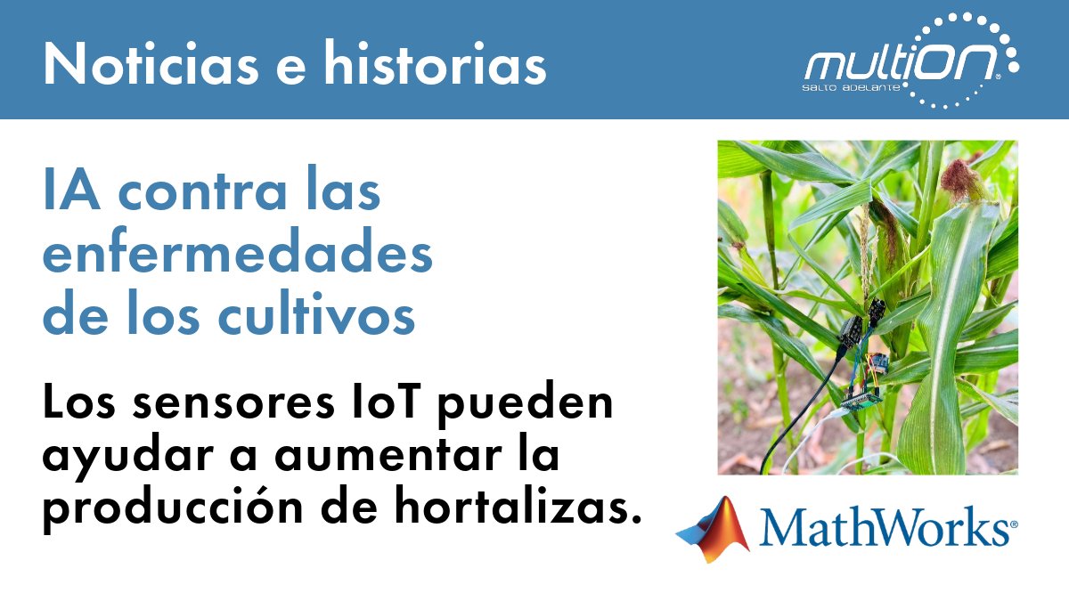 MATLAB_Mexico's tweet image. IA contra las enfermedades de los cultivos rebrand.ly/uxk2vu9 el modelo fue capaz de mostrar diferenciación entre plantas sanas e infectadas . #MaizeInnovation #AgricultureTech #IoTinFarming #SmartFarming #PrecisionAgriculture #AfricanAgTech #DiseaseDetection #RwandaResearch