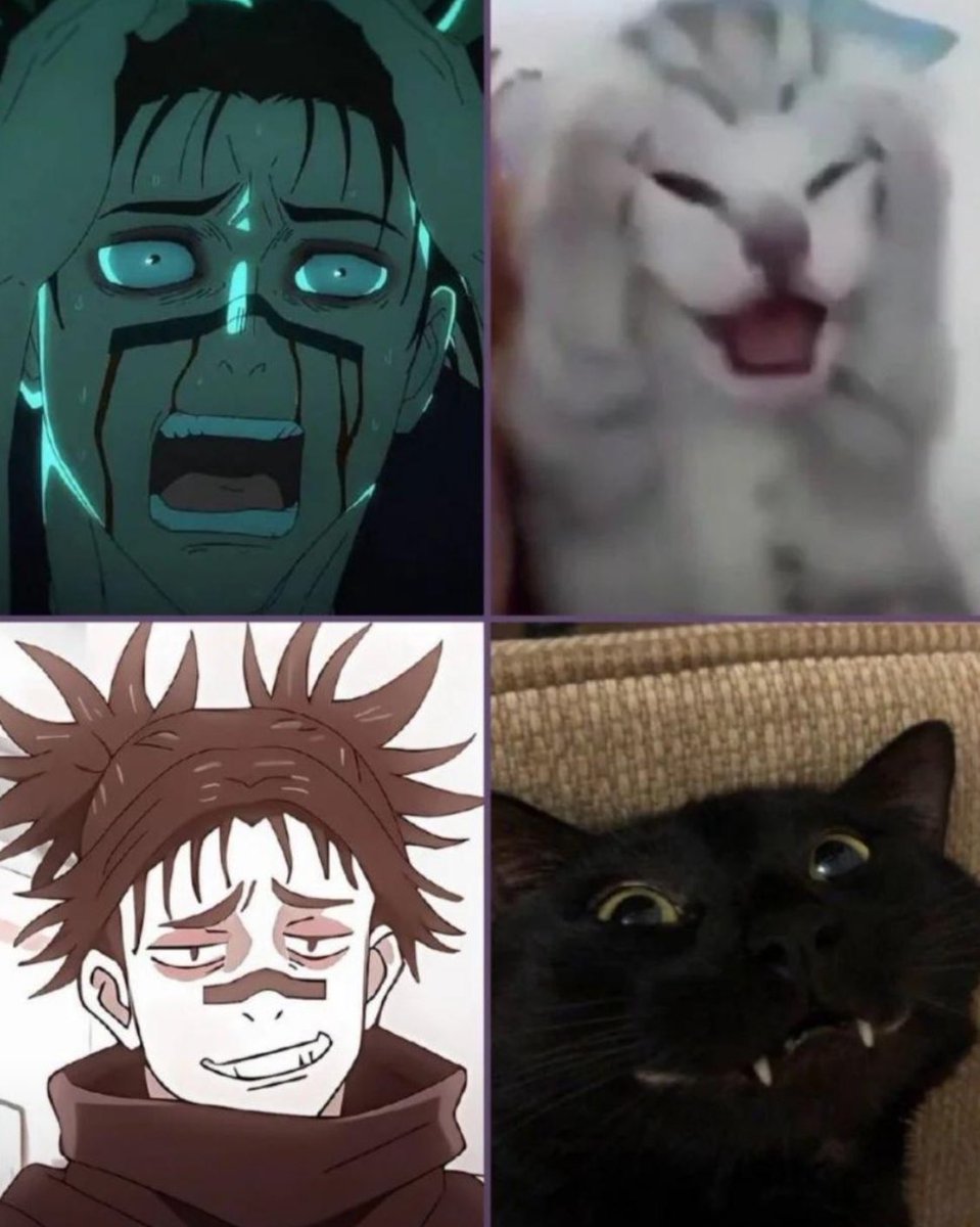 JJKcontents's tweet image. Same energy