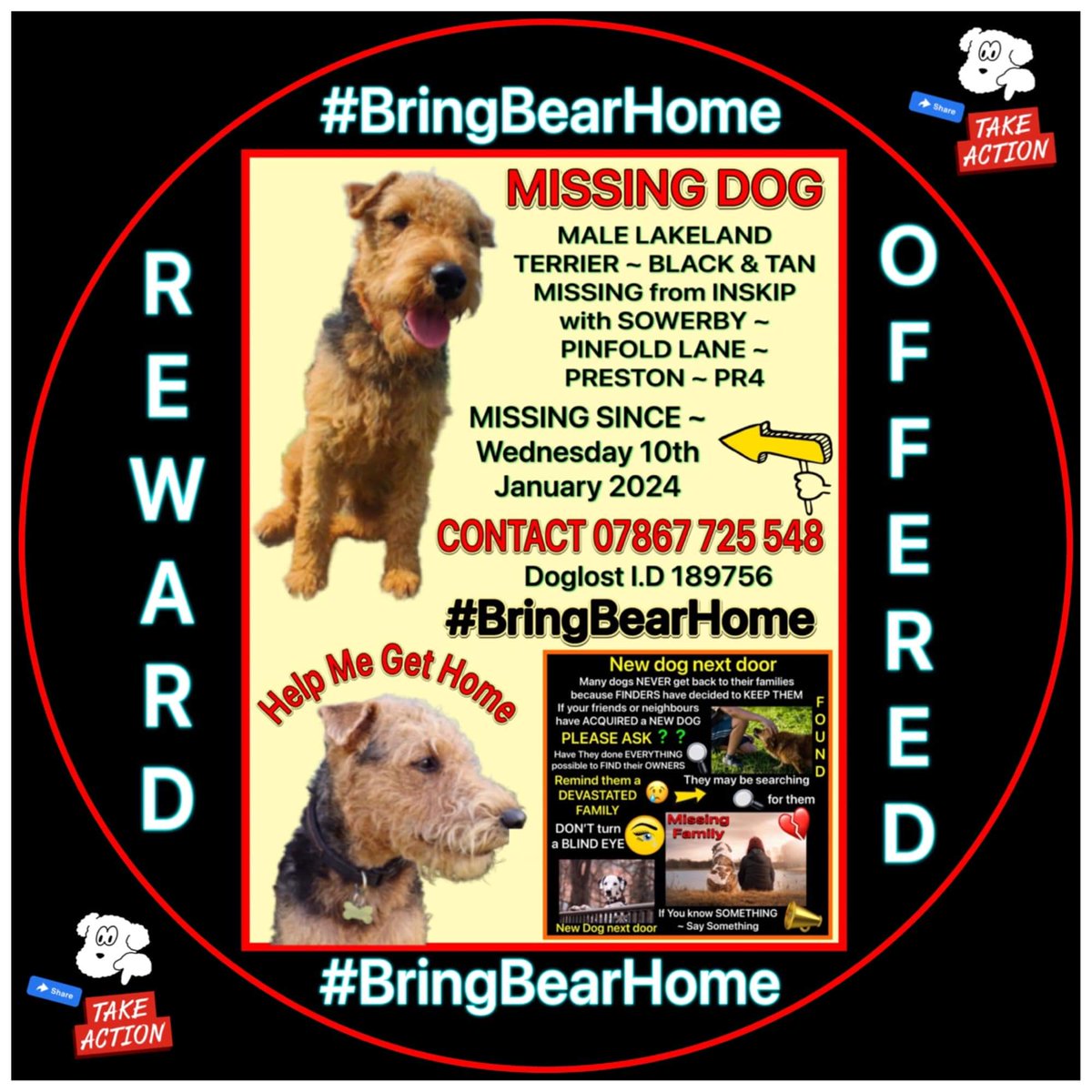 Billy Brown (@mollybear68) on Twitter photo Forget #Oscars2024โฏโฏโฏโฏโฏโฏ help Bear instead! Praying he is safe and sheltered in #StormJocelyn let's get him home to <a href="/LostBearBamber/">Catherine Bamber</a> use the # #BringBearHome Forget #Oscars2024โฏโฏโฏโฏโฏโฏ help Bear instead! Praying he is safe and sheltered in #StormJocelyn let's get him home to <a href="/LostBearBamber/">Catherine Bamber</a> use the # #BringBearHome