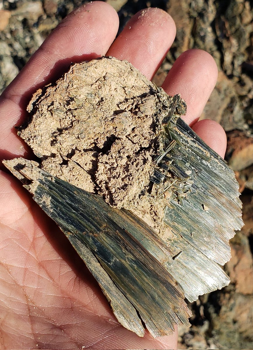 All-natural Asbestos from an ultramafic exposure in Baja. More proof that the word 'natural' is functionally meaningless, especially when used on food packaging. If you mixed this asbestos into a jar of peanut butter, the contents inside would still technically be 'all-natural'.