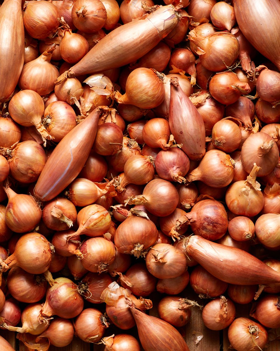 Shallots provide a delicate sweet flavour and provide depth to so many dishes…

Head to our website for lots of fabulous shallot recipes! - ukshallot.com/recipes