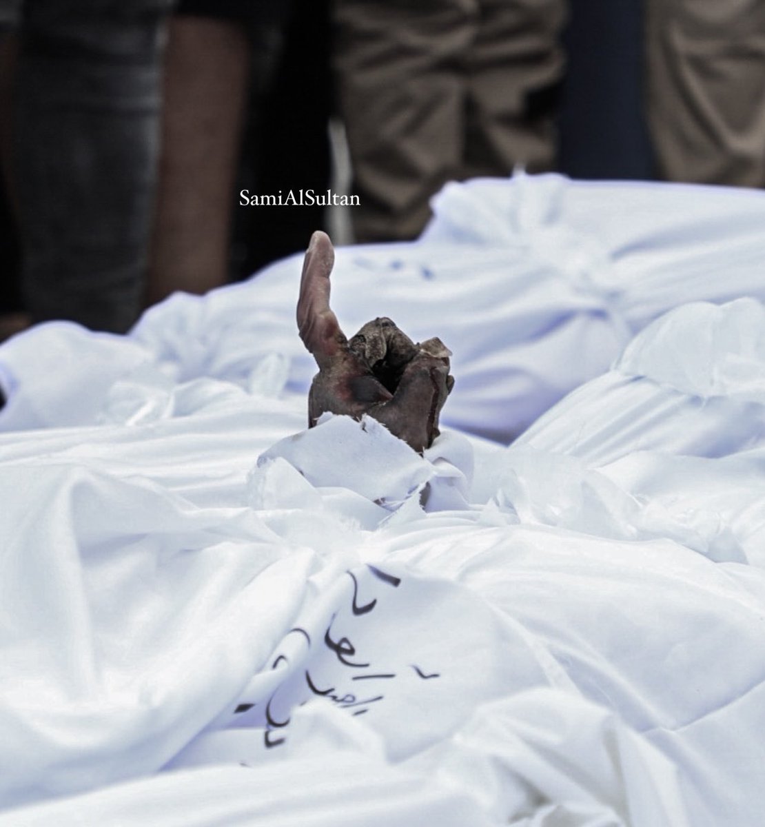 يسقطُ الجسد
وتبقى السَّبابة
لكم الله يا أهل غزَّة