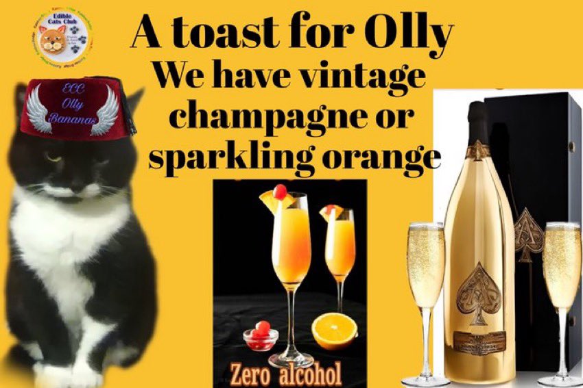 Wee iz having a toast fur Olly. Peez letz me no wut dwink u wood like. #ACandleForOlly #ECCBar Let us dwink a toast to my besty fwend