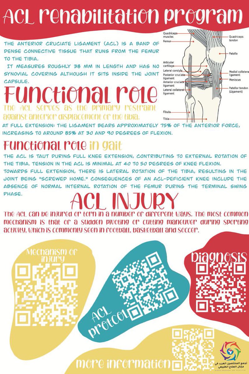 arabpt's tweet photo. بوستر مختصر عن 
ACL REHABILITATION PROGRAM

تصميم : أ/تسنيم البركاتي 👏🏼 https://t.co/6yumLTrxDZ